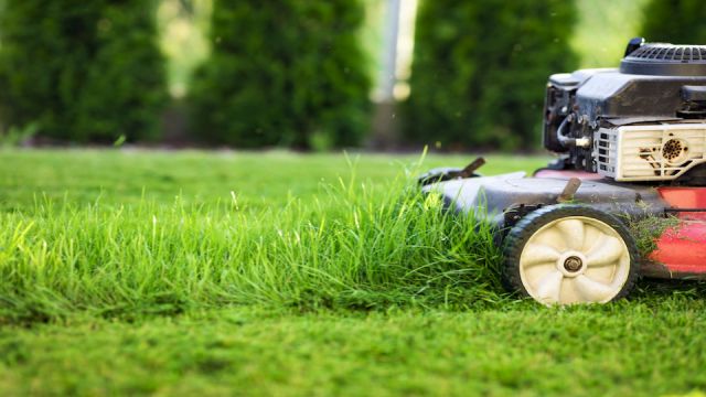 Lawn mower cutting green grass