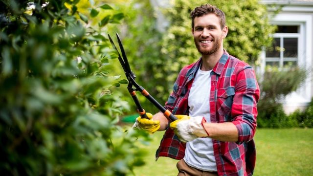 Gardener cutting plants