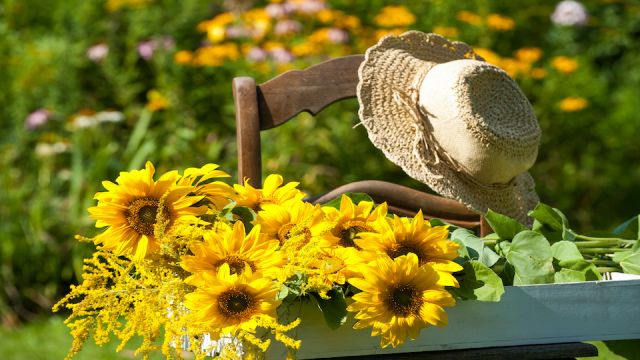 Gartenidylle