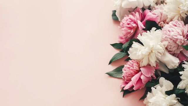 Stylish pink and white peonies border on pink paper flat lay with space for text. Happy mother's day. International womens day. Greeting card mockup. Hello spring