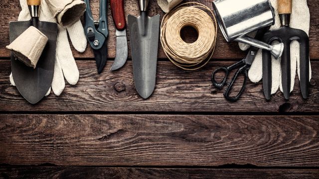 gardening tools on dark wooden background with space for text top view