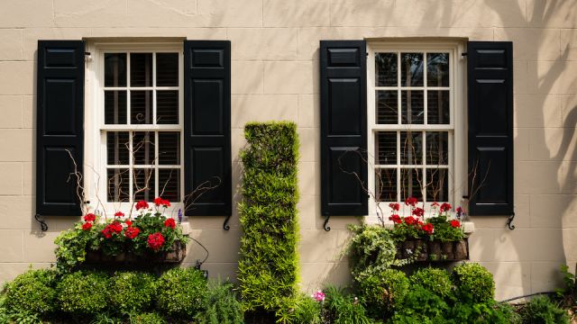 Adorned and Decorate Architectural window, door, planter box