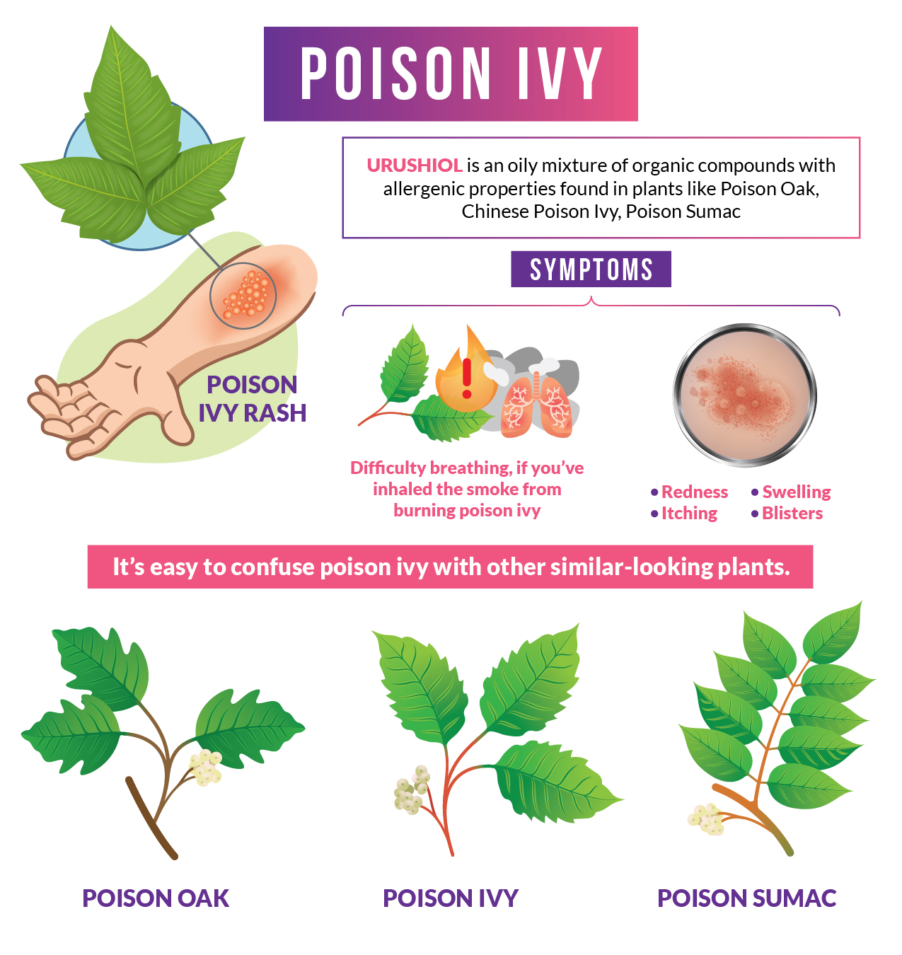 Stages Of Poison Ivy Healing