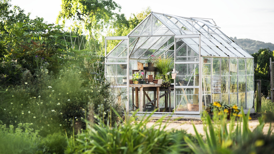 What You Should Put on Your Greenhouse Floor