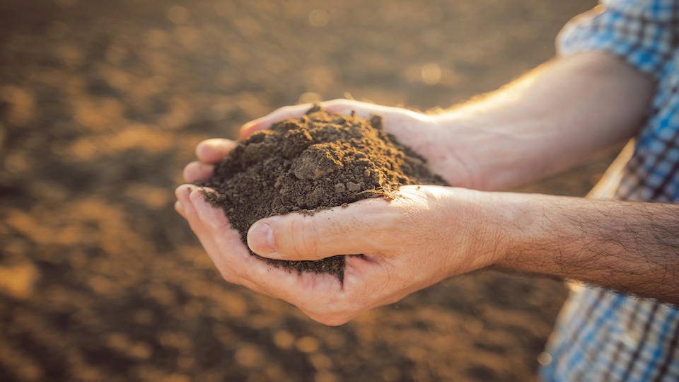 5-ways-to-determine-your-soil-type-and-why-it-matters